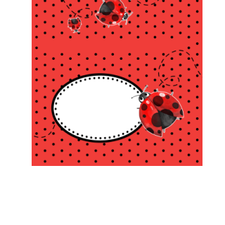 Czekolady - Biedronka