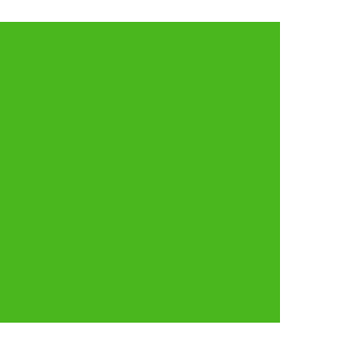 Czekolady - Zielona firmowa