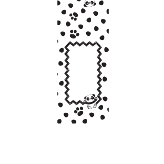 Torebki na cukierki - Panda (5 szt)