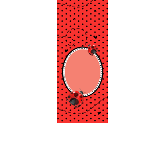 Torebki na cukierki - Biedronka (5 szt)