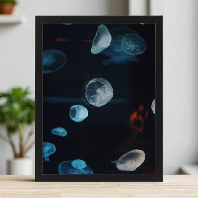 Plakaty 30cm x 40cm - Dryfująca meduza
