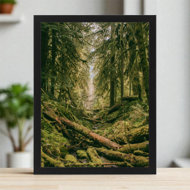 Plakaty 30cm x 40cm - Leśna droga