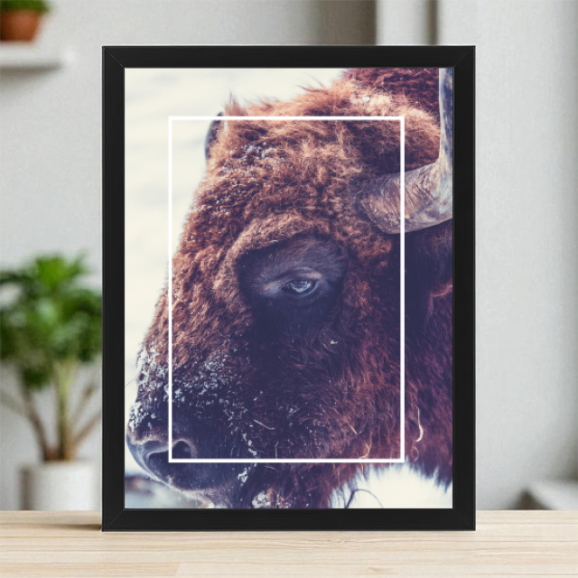 Plakaty 30cm x 40cm - Mroźne spojrzenie