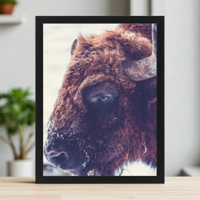 Plakaty 30cm x 40cm - Mroźne spojrzenie
