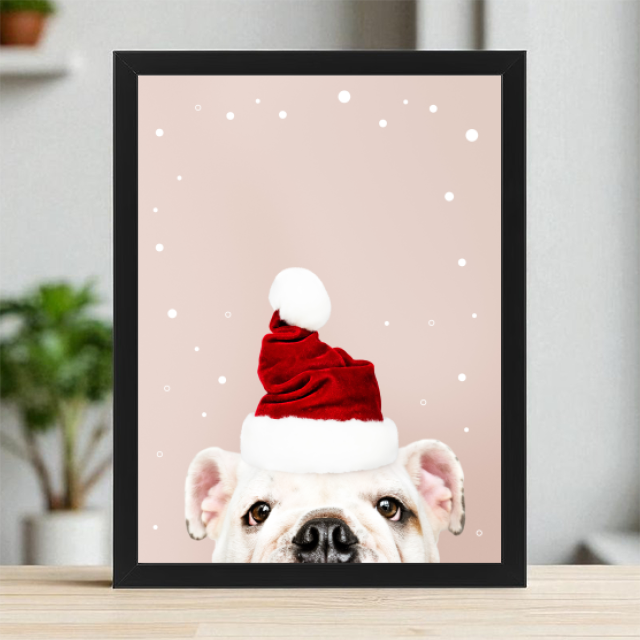 Plakaty 30cm x 40cm - Buldog w czapce