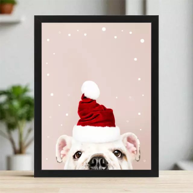 Plakaty 30cm x 40cm - Buldog w czapce