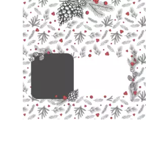 Czekolady - Leśne gałązki z żurawiną